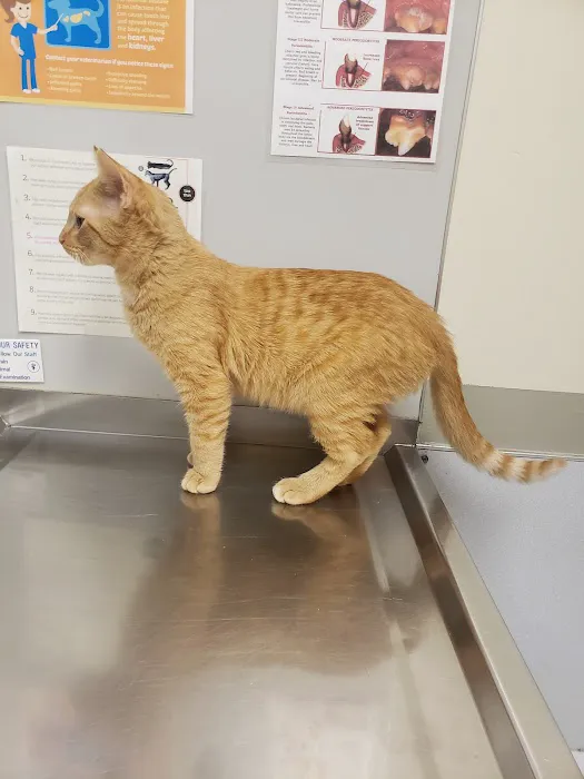 Suburban Animal Clinic Picture 9