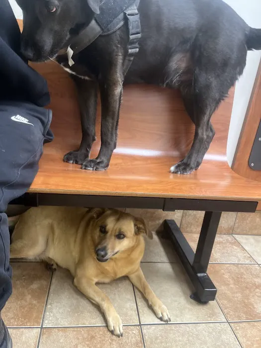 Banfield Pet Hospital Picture 1