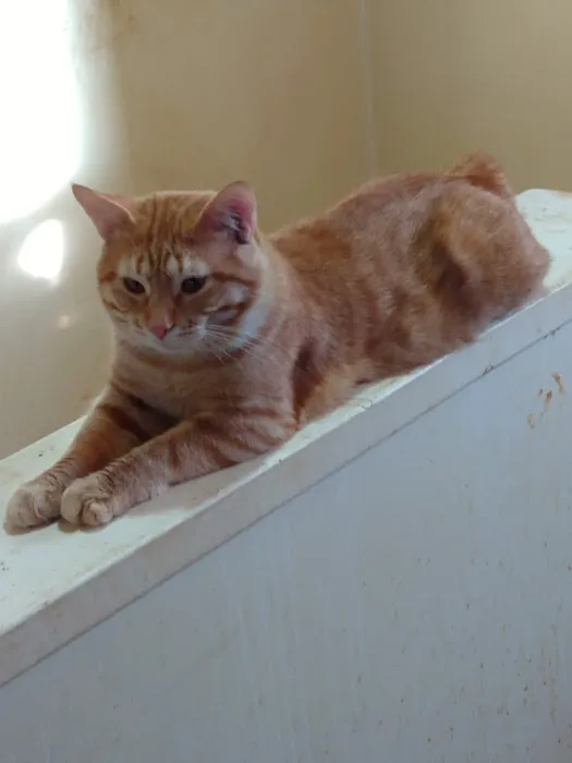 Marion Animal Hospital Picture 4