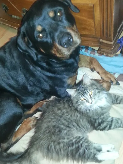 Marion Animal Hospital Picture 3