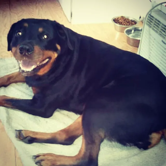 Marion Animal Hospital Picture 2