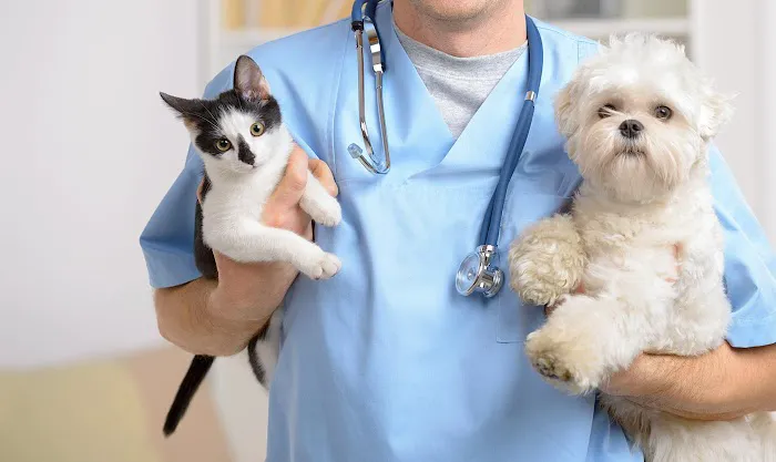Green Camp Veterinary Clinic Picture 2