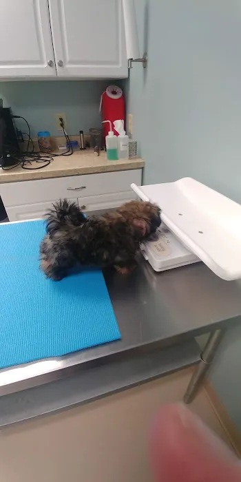Waldo Animal Clinic Picture 8