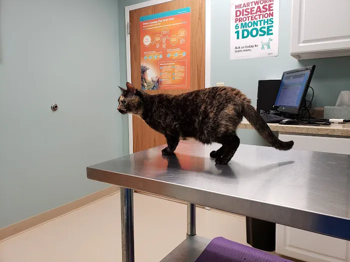 Waldo Animal Clinic Picture 3