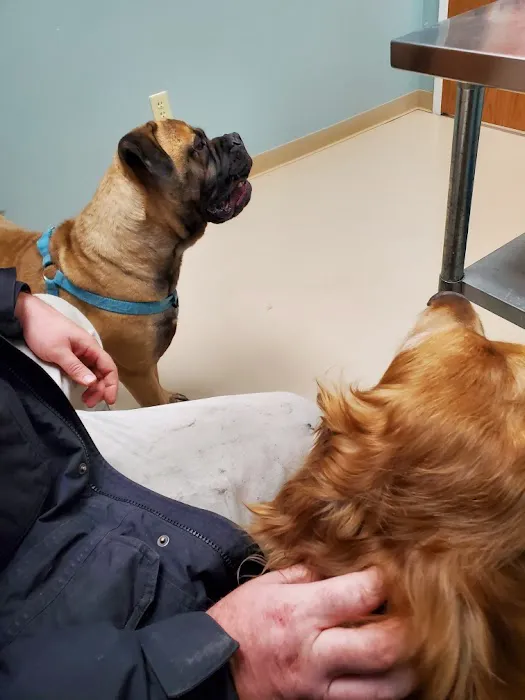Waldo Animal Clinic Picture 5