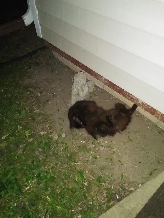 Richwood Animal Clinic Picture 1