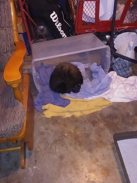 Richwood Animal Clinic Picture 2