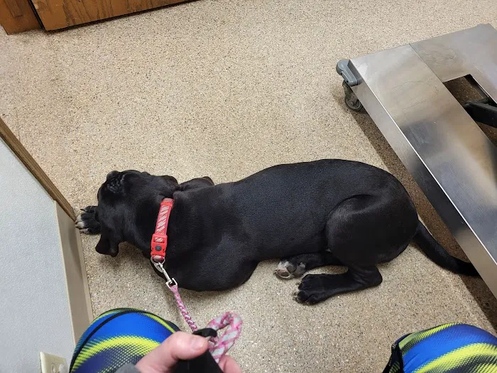 Maple Run Veterinary Clinic LLC Picture 1