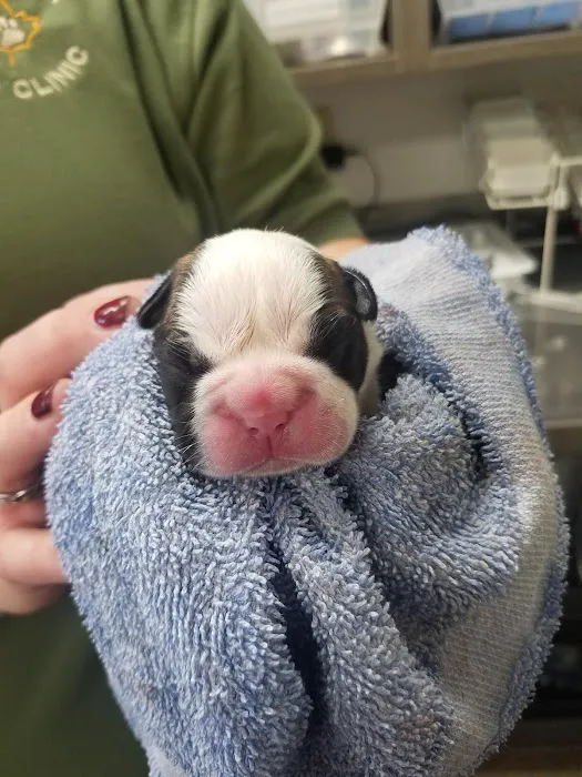 Maple Run Veterinary Clinic LLC Picture 7