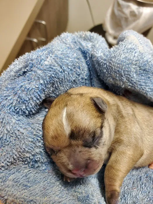 Maple Run Veterinary Clinic LLC Picture 8