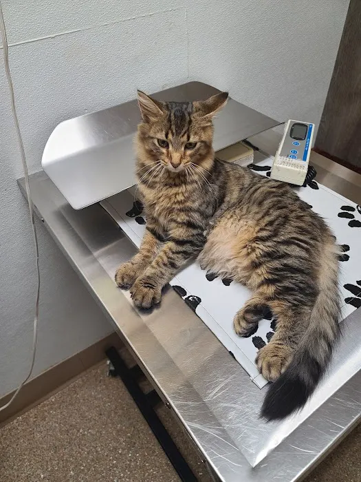 Maple Run Veterinary Clinic LLC Picture 10