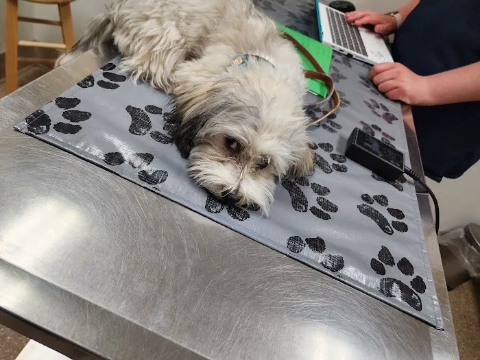 Maple Run Veterinary Clinic LLC Picture 9