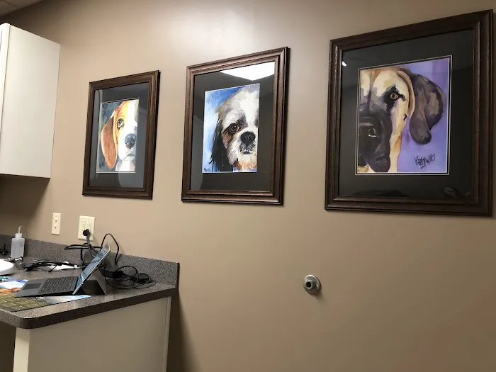 Arlington Veterinary Clinic Picture 6