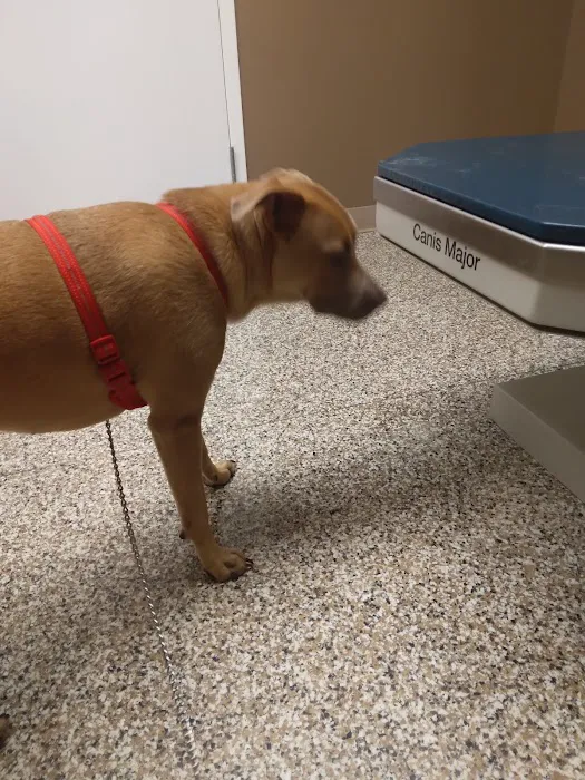Arlington Veterinary Clinic Picture 8