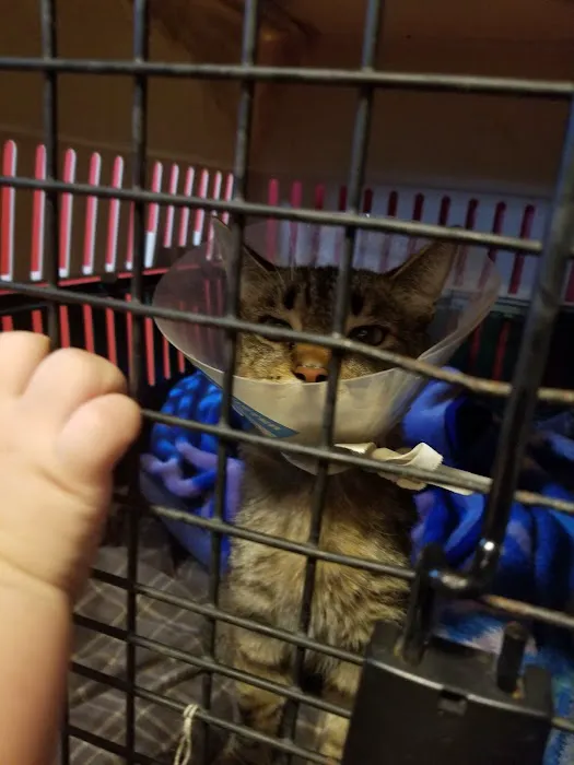Fostoria Pet Hospital Picture 9