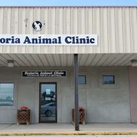 Fostoria Animal Clinic ico