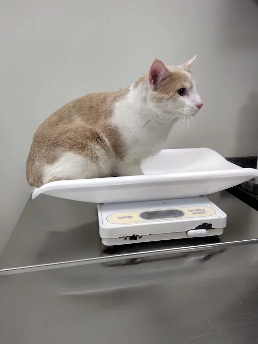 Tri County Veterinary Clinic Picture 1