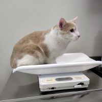 Tri County Veterinary Clinic ico