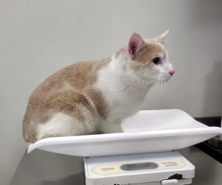 Tri County Veterinary Clinic