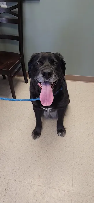 Owen's Ark Vet Clinic Picture 2