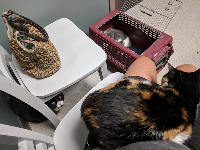 Owen's Ark Vet Clinic Picture 7