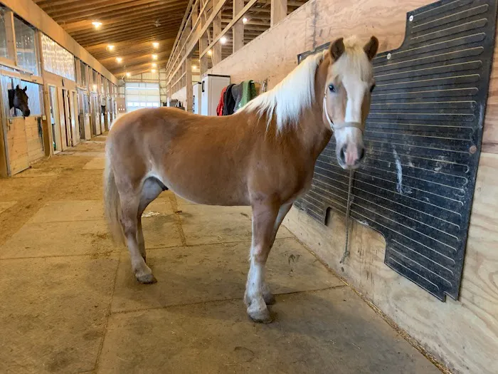 Owen's Ark Vet Clinic Picture 8