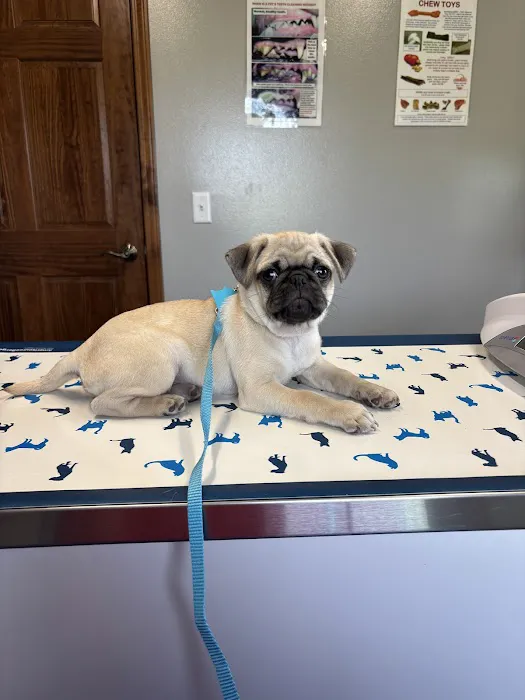 Maumee Bay Veterinary Hospital Picture 1