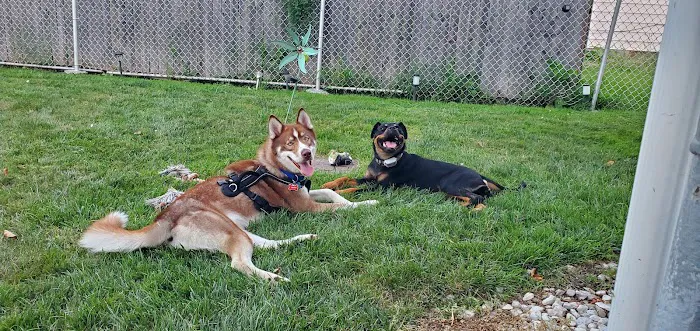 Maumee Bay Veterinary Hospital Picture 10