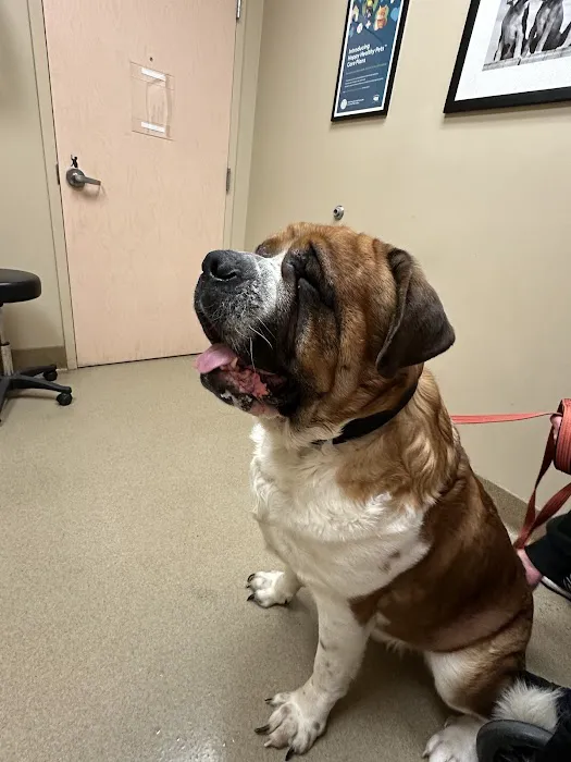 East Suburban Animal Clinic Picture 7