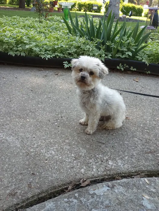 East Suburban Animal Clinic Picture 1