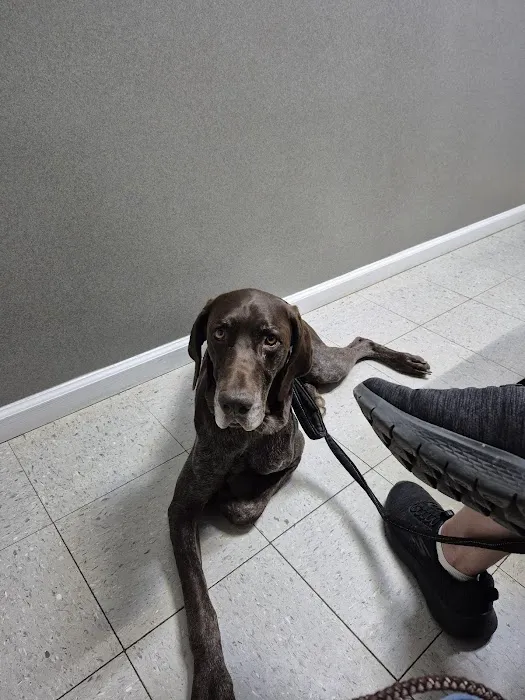 Piedmont Animal Hospital Picture 6