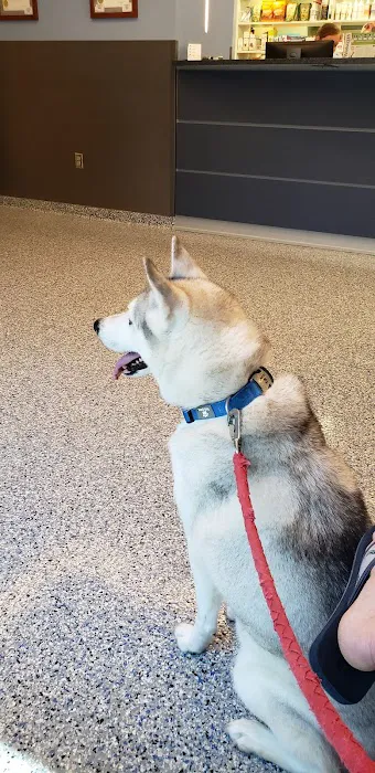 Eastside Animal Hospital Picture 1