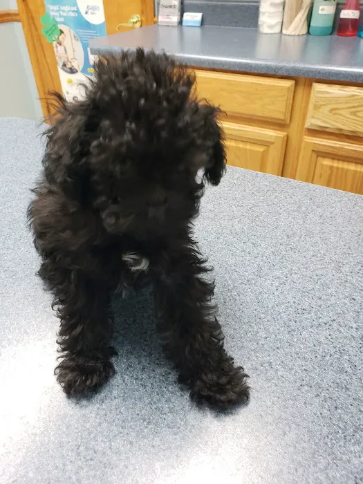 Heartland Animal Hospital Picture 9