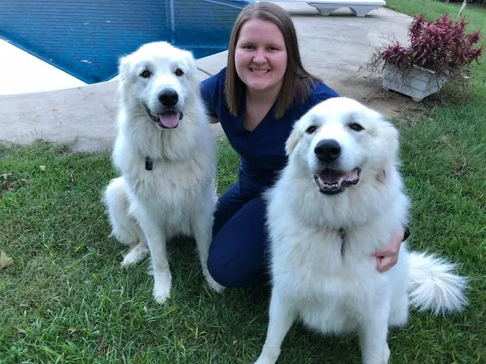 Heartland Animal Hospital Picture 7