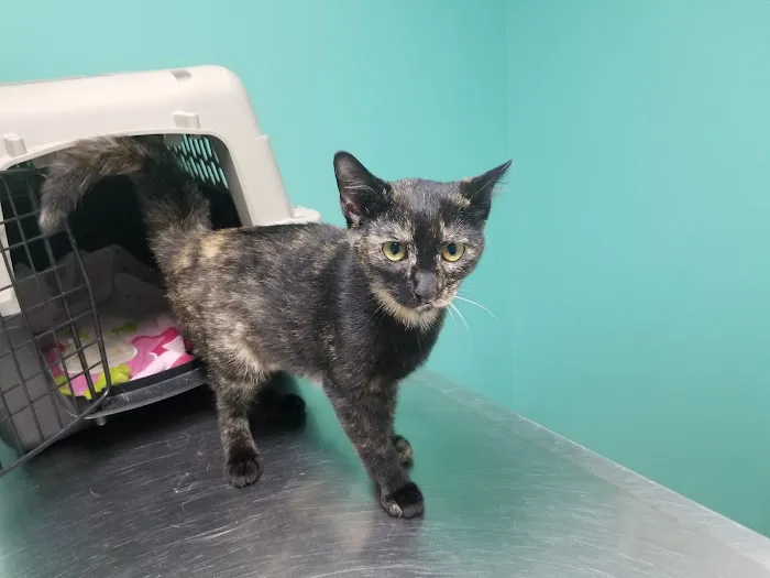 Ark Animal Hospital Picture 7