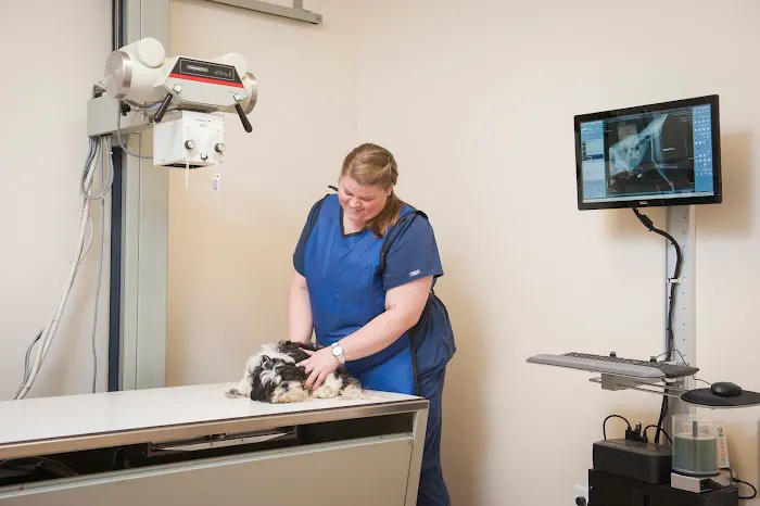 Pine Street Animal Hospital Picture 1