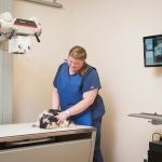 Pine Street Animal Hospital