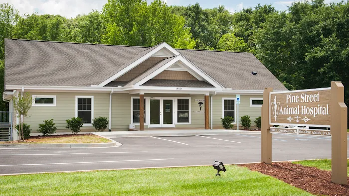 Pine Street Animal Hospital Picture 9