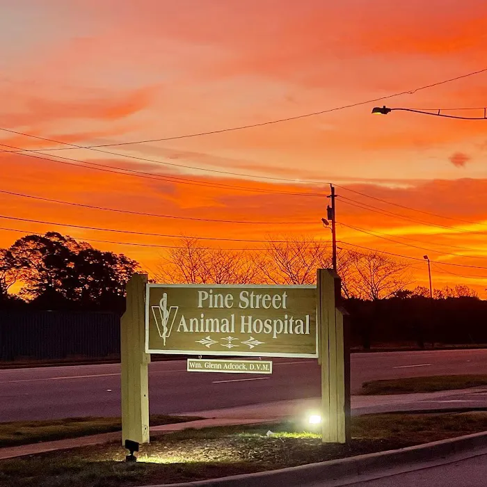 Pine Street Animal Hospital Picture 6