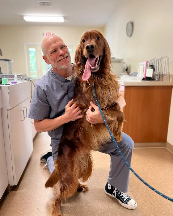 Pine Street Animal Hospital Picture 8