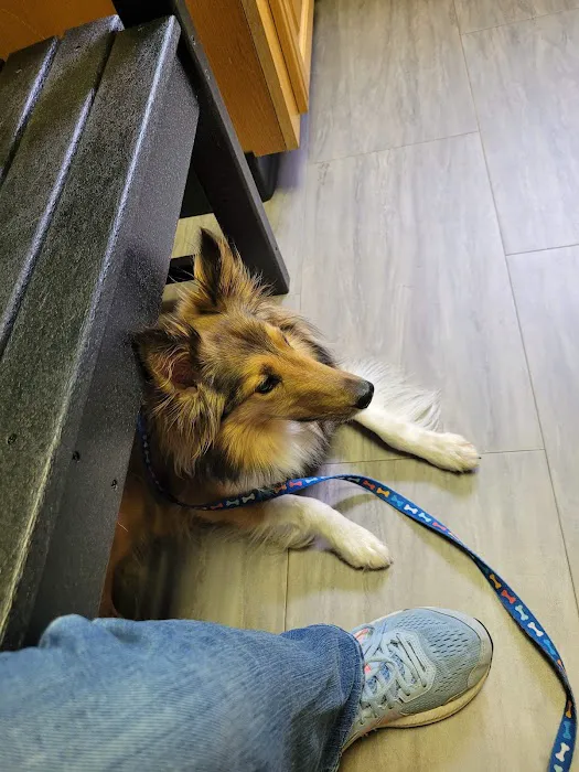 Spartanburg Animal Clinic Picture 1