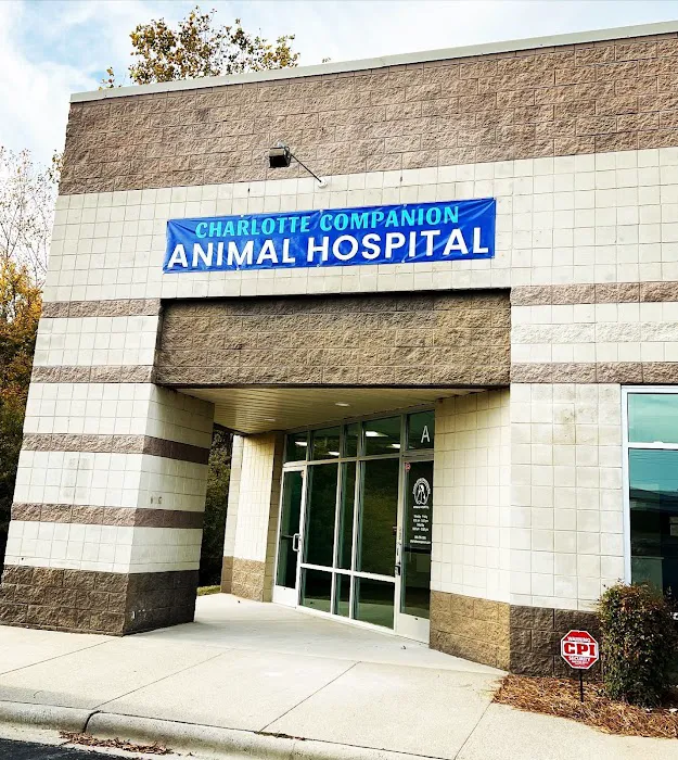 Charlotte Companion Animal Hospital Picture 7