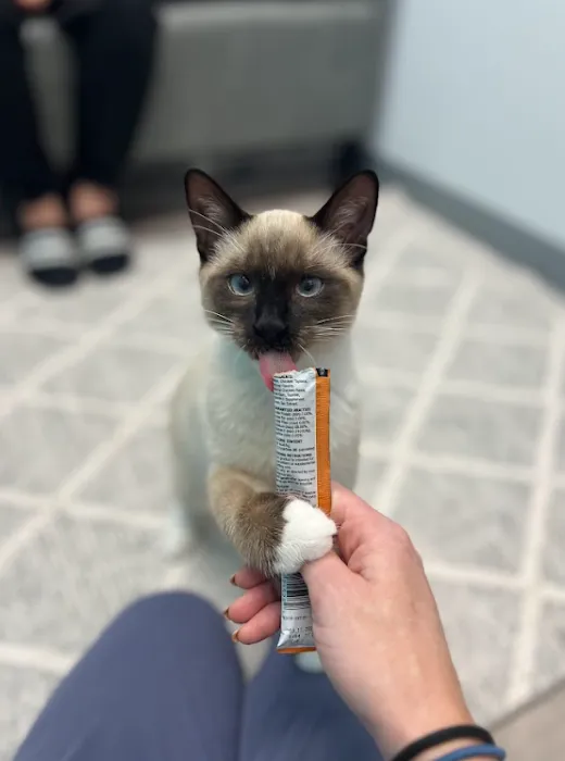 Charlotte Companion Animal Hospital Picture 9