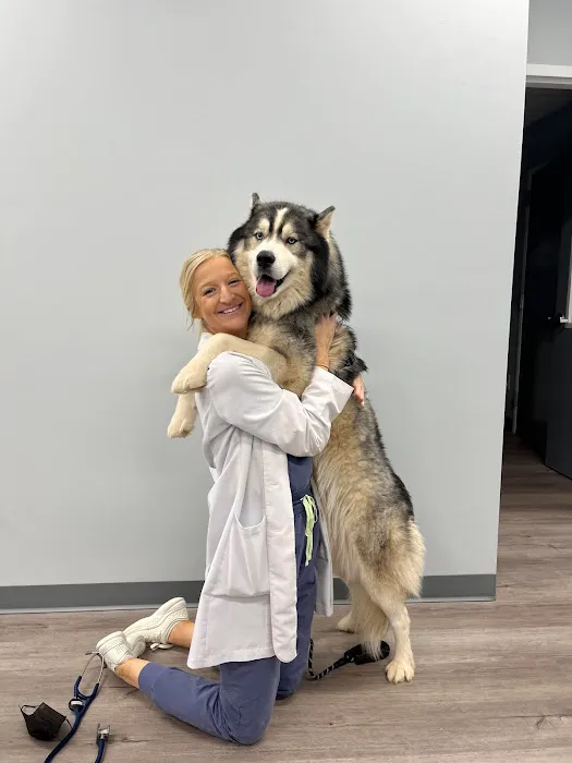 Charlotte Companion Animal Hospital Picture 1