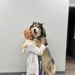 Charlotte Companion Animal Hospital