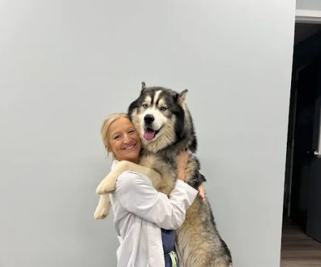 Charlotte Companion Animal Hospital