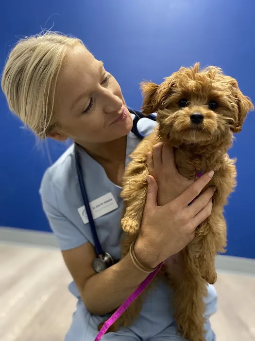 Charlotte Companion Animal Hospital Picture 2