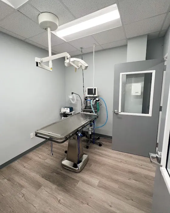 Charlotte Companion Animal Hospital Picture 4
