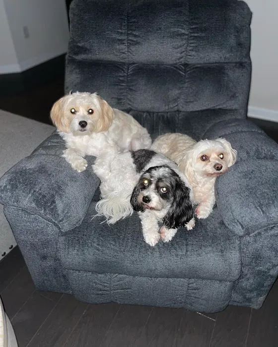 Banfield Pet Hospital Picture 1