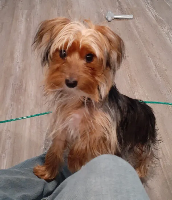 Banfield Pet Hospital Picture 3